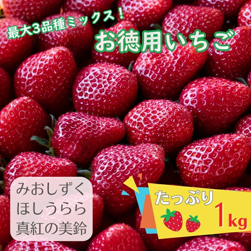 【ふるさと納税】【たっぷり最大3品種ミックス】お徳用いちご(1kg超入り)※本州限定 果物類 フルーツ 果物 　お届け：2026年1月上旬～5月下旬ごろ
