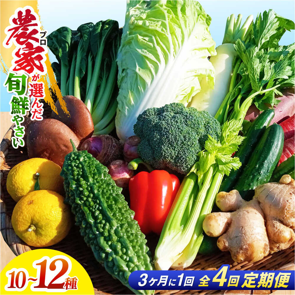 【ふるさと納税】【4回定期便】高知県産 土佐 季節の野菜 詰め合せセット /3ヵ月に1回【香稜苑】[ATBQ010] 訳あり 不揃い 規格外 野菜 定期 定期便 詰め合わせ セット 高知 やさい 季節もの 新鮮 野菜セット おまかせ 旬 産地直送 農家直送 おいしい 美味しい