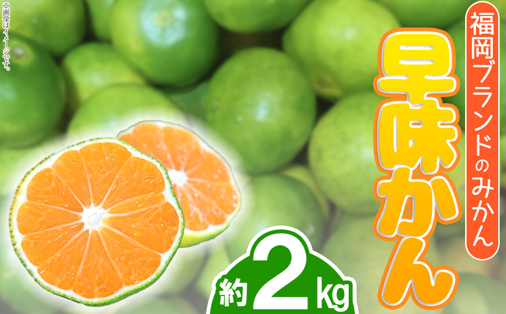 
                  3V16 福岡ブランドみかん・早味かん約2kg
                