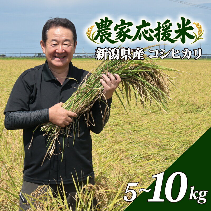 【ふるさと納税】 最短7日発送！ 新米 5kg 10kg 新潟 コシヒカリ お米 農家応援米 こしひかり 米 おこめ kome 白米 新潟県産 こしひかり 新潟県 新発田市 農家応援 ふっくら スピード発送 こめ 斗伸 新潟米 水 うまい 新発田市産 こしひかり 斗伸有限会社 toushin079P