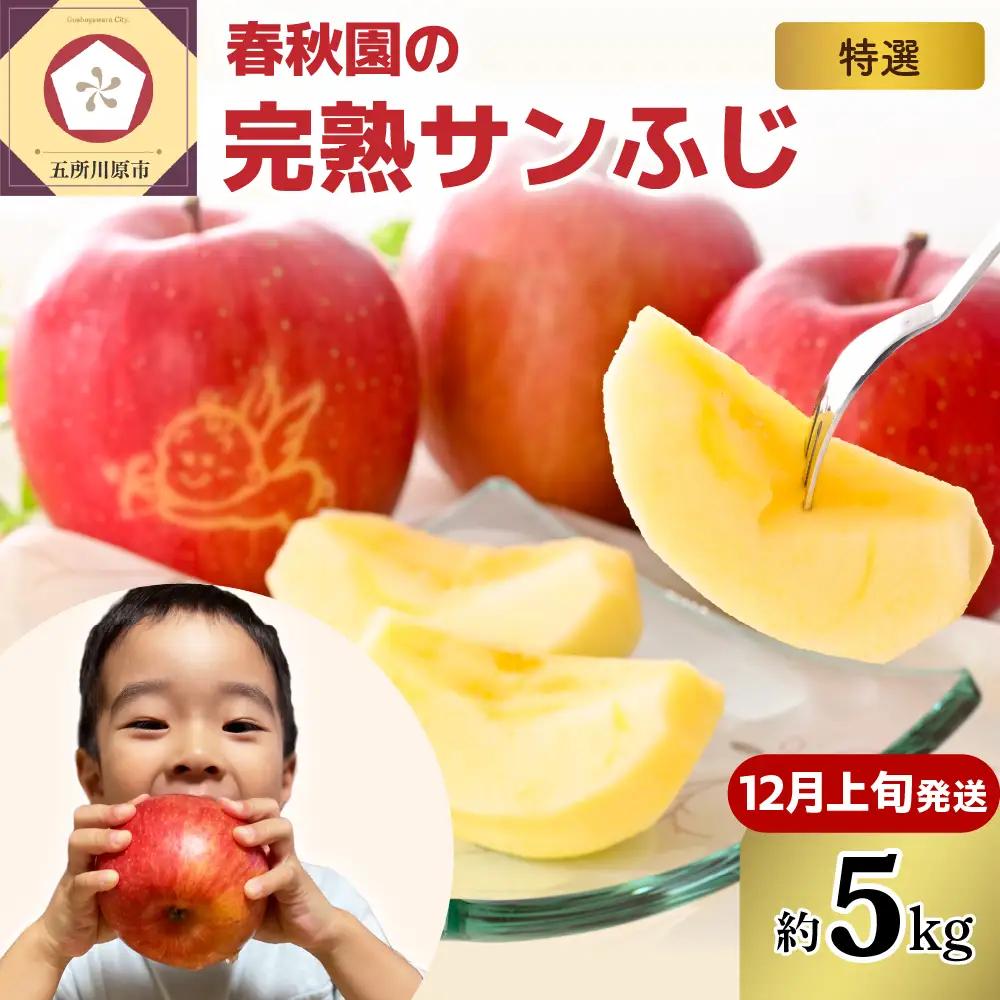 りんご　5kg【2026年12月上旬発送】青森産りんご 春秋園の「特選」大玉完熟サンふじ