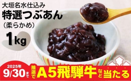 
            【秋の大感謝祭開催中！飛騨牛が抽選で当たる】大垣名水仕込み【特選つぶあん１kg】（やわらかめ）　北海道産十勝小豆100％使用
          