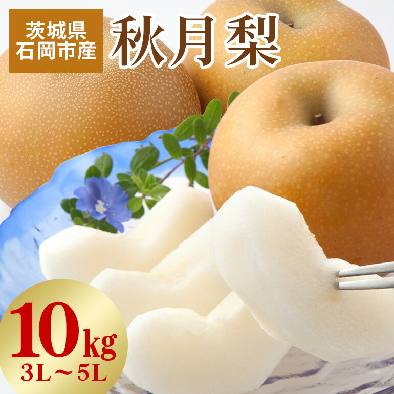 【ふるさと納税】【 2025年 先行予約 】 秋月梨　3L〜5L（二段10kg）梨 約 20玉 〜 28玉 品種 秋月 あきづき なし ナシ 果物 フルーツ 大玉 3L 4L 5L サイズ 10キロ 9月 10月 発送 秋 旬 産地直送 農家直送 産直 国産 くだもの 甘い 茨城県産 茨城県 石岡市 送料無料 (G209)