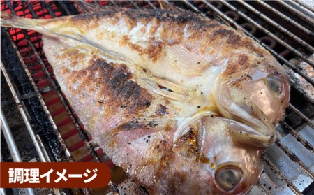 びっくりビッグサイズ！甘鯛一夜干し2尾(1尾あたり約400g) おつまみ 酒の肴 焼き物にぴったり 吉野ヶ里町/やきとり紋次郎 [FCJ075]