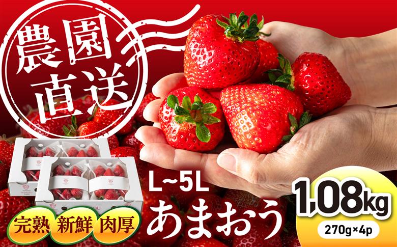 【2027年3月配送】【農園直送】糸島のあまおう 270g×4パック (サイズおまかせL～5L) 糸島市 / 磯本農園 / TANNAL [ATB004-1] いちご 苺 イチゴ 2027年3月配送
