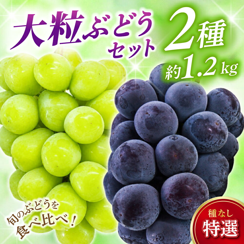 【ふるさと納税】 ぶどう 岡山 特選 大粒 ぶどう2種セット（シャインマスカット入り） 計1.2kg（2房） 【2026年 先行予約 9月下旬から順次発送】 ぶどう 葡萄 ピオーネ クイーンニーナ フルーツ 果物 人気 期間限定 ブドウ くだもの 数量限定 種なし 送料無料 2026年発送