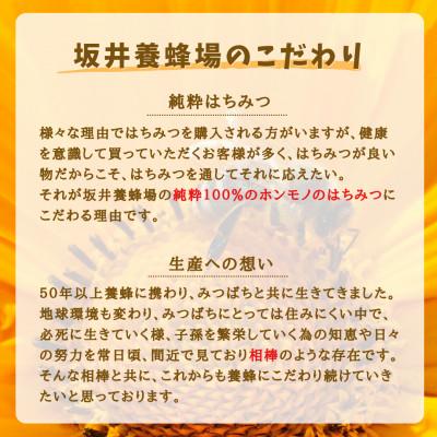 ふるさと納税 大牟田市 みつばちの雫　国産れんげ蜜　300g×2 |  | 02