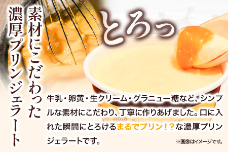 とろけるプリンジェラート 90ml×6個 グローバルアリーナ 《45日以内に順次出荷(土日祝除く)》 福岡県 鞍手郡 鞍手町 プリン ジェラート GA倶楽部 デザート 味宝卵 お菓子 スイーツ 冷凍
