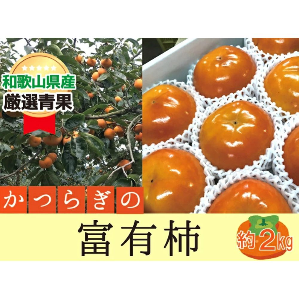 【ふるさと納税】柿 富有柿【秀品】和歌山県産 約2kg 【2026年11月中旬から2026年12月上旬発送】｜柿 フルーツ 果物 秀品 富有柿