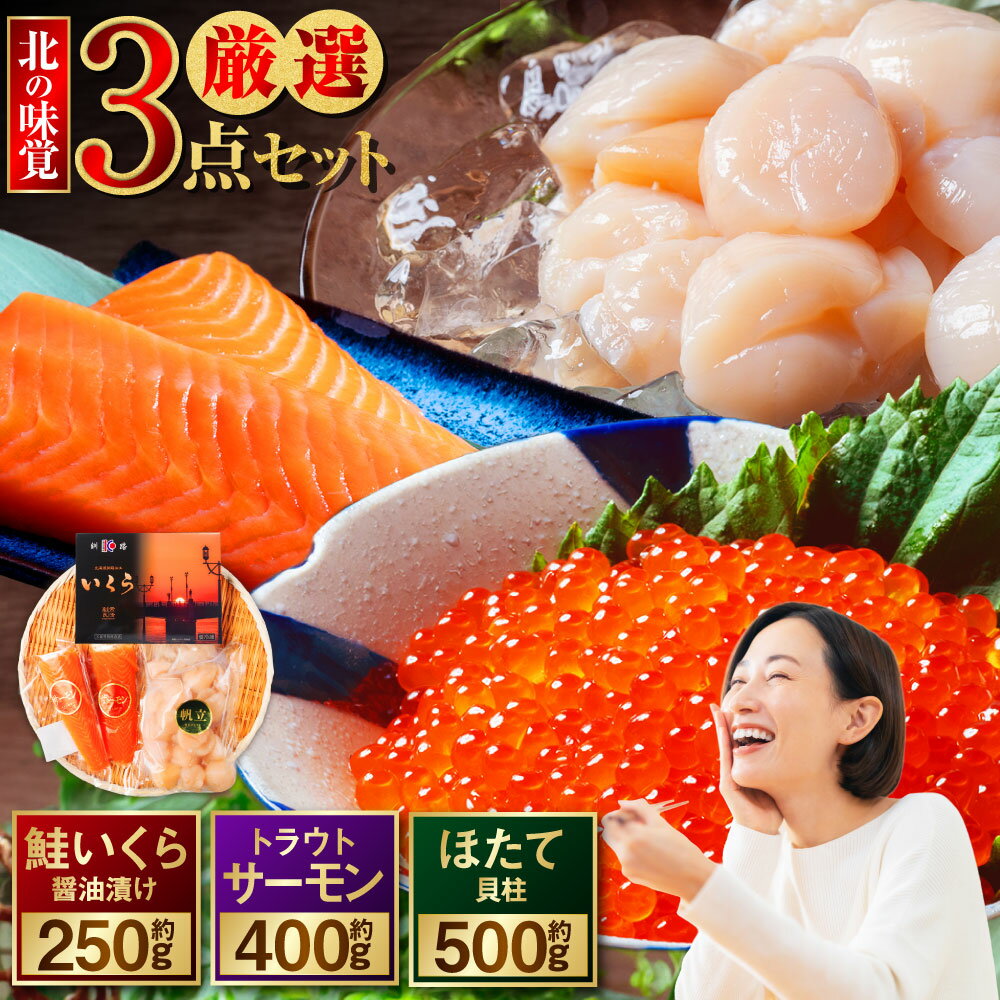 【ふるさと納税】北の味覚海鮮3点セット いくら250g / サーモン400g / ほたて500g 海鮮丼 セット 鮭 シャケ サケ 魚卵 海鮮 海鮮セット 刺身 福袋 厳選 3種 サーモン いくら イクラ 醤油漬け ホタテ ほたて 貝柱 お刺身 おかず 小分け 冷凍 冷凍配送 北海道 釧路市 送料無料