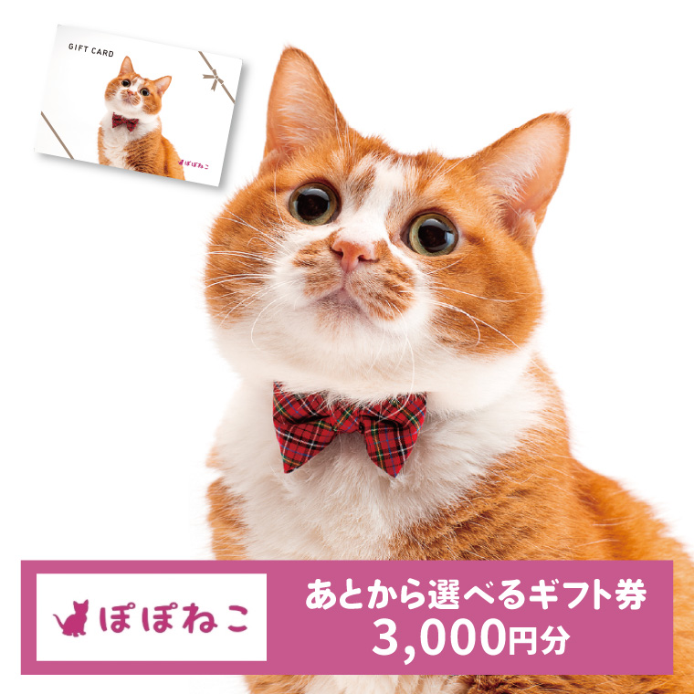 ぽぽねこギフト券（封筒タイプ）3000円分オンラインショップで使えるギフト券ペット用品猫（BP004）