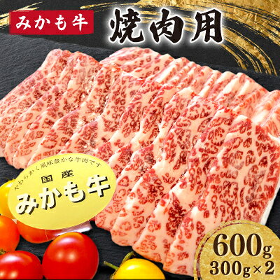 【ふるさと納税】「みかも牛」焼肉用600g(300gx2)【配送不可地域：離島】【1257319】