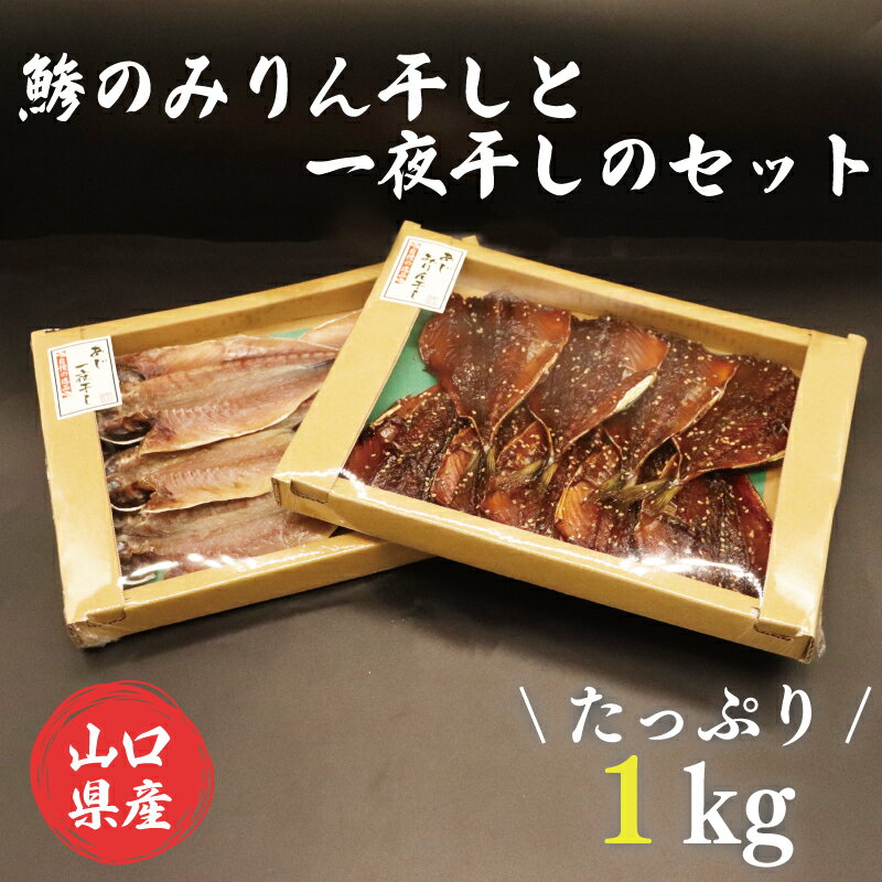 【ふるさと納税】山口県産 鯵のみりん干しと一夜干しのセット たっぷり 合計1kg アジ開き みりん あじ(10112)