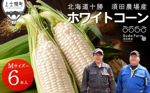 2026年分 先行予約 北海道産 ホワイトコーン 計6本 北海道 上士幌町 須田農場 野菜 白い スイートコーン とうもろこし トウモロコシ 産地直送 冷蔵便 ◆2026年08月配送予定 ［010-V61］ ※オンライン申請対応