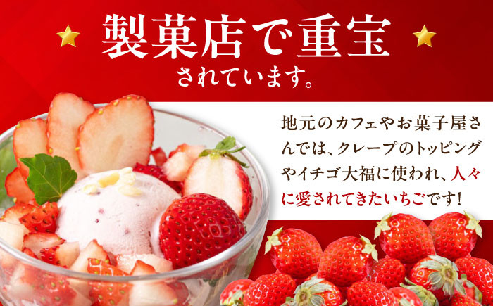 イチゴ いちご 苺 フルーツ 果物 季節限定 期間限定 冷蔵発送