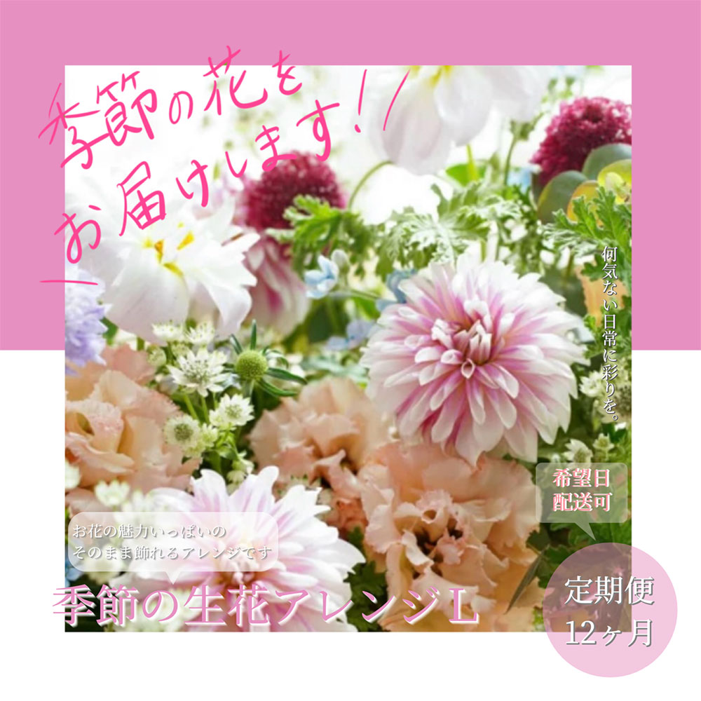 【CF-R5cbs】t165tmf　《12ヵ月定期便》おすすめ生花アレンジメントL 定期便 定期コース 全12回 フラワーアレンジメント そのまま飾れる 生花 花束 花 お花 おすすめ 可愛い キレイ おしゃれ 季節のお花 供花 お供え<br>