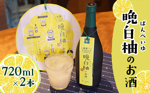 『はやし屋』の晩白柚のお酒 720ml×2本 《30日以内に出荷予定(土日祝除く)》 熊本県氷川町
