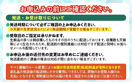 【令和8年産先行予約】 ラ・フランス Lサイズ 約2kg　(11玉)　山形県鶴岡市産　佐藤農園