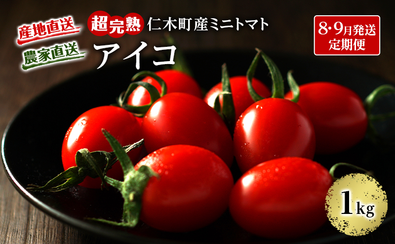 8・9月 2回発送[先行受付] 超完熟ミニトマト【アイコ】1kg 栽培期間中 農薬・除草剤不使用 サイズ混載 トマト ミニトマト アイコ 野菜 定期便 北海道 仁木町 [アイコファーム]