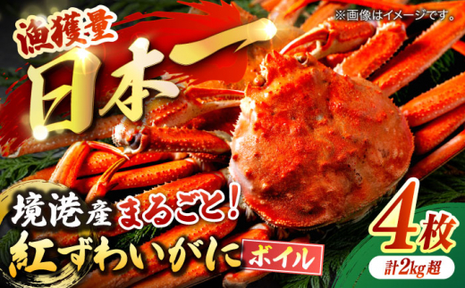 山陰産 紅ズワイガニ ×4杯｜ 紅ずわいがに かに 蟹 カニ かにみそ かに鍋 かにしゃぶ ボイル [ALDN001]