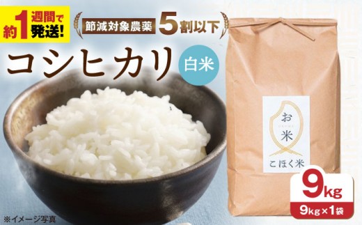 【スピード発送】〈令和7年産米〉湖北産 コシヒカリ(白米) 9kg お米 長浜市/株式会社エース物産[AQAK004] 米 お米 白米 米 精米 白米 はくまい こめ こしひかり 米9kg 精米 ブランド米 国産 湖北産 滋賀県産 滋賀県 長浜市