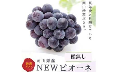 詰合 ニューピオーネ 2房 シャインマスカット 晴王 2房（1房各480g以上）計1.92kg以上 化粧箱入り 【2026年9月上旬～10月上旬迄発送予定】 ぶどう ブドウ 葡萄 マスカット ピオーネ