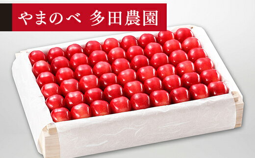 【ふるさと納税】《先行予約》2026年 山形県産 特選ダイアナブライト 桐箱詰め 約1100g 2L以上 やまのべ多田耕太郎のさくらんぼ ギフト 贈答 贈り物 送料無料 F20A-063