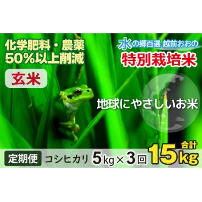 ふるさと納税 大野市 【令和7年産】【3ヶ月定期便】こしひかり 5kg × 3回 計15kg【玄米】「特別栽培米」