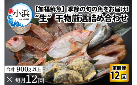 
【定期便】 【全12回(毎月発送)】 "生"干物厳選詰め合わせ 【加福鮮魚】 季節の旬の魚をお届け！
