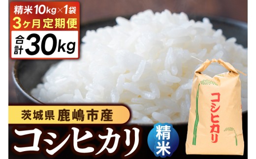 ★先行予約 令和8年産★【3ヶ月定期便】 米 コシヒカリ 10kg × 3回 (精米) 鹿嶋市産【お米 白米 こしひかり 茨城県 鹿嶋市 85000円以内】(KDS-24)