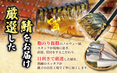 訳あり 塩サバ切身 約1.5kg ノルウェー産 冷凍 さば さば さば さば 大一奈村魚問屋