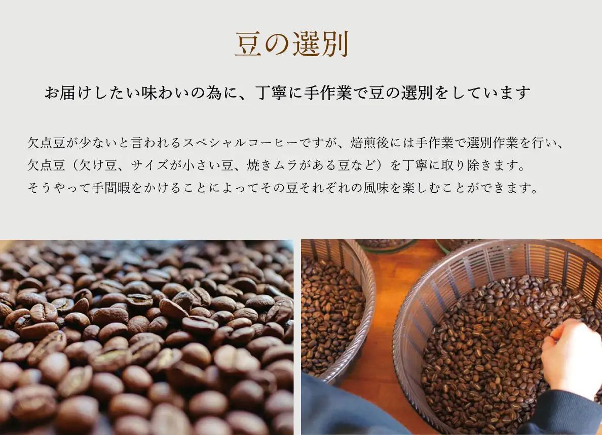 【1ヶ月ごとの定期便】 OTOMONI COFFEE 店主 お勧め 豆をお届け！ ２５０g×１袋「粉」OT8 コーヒー 珈琲 焙煎 自家焙煎 豆 粉 COFFEE おすすめ くつろぎ おうち時間 定期