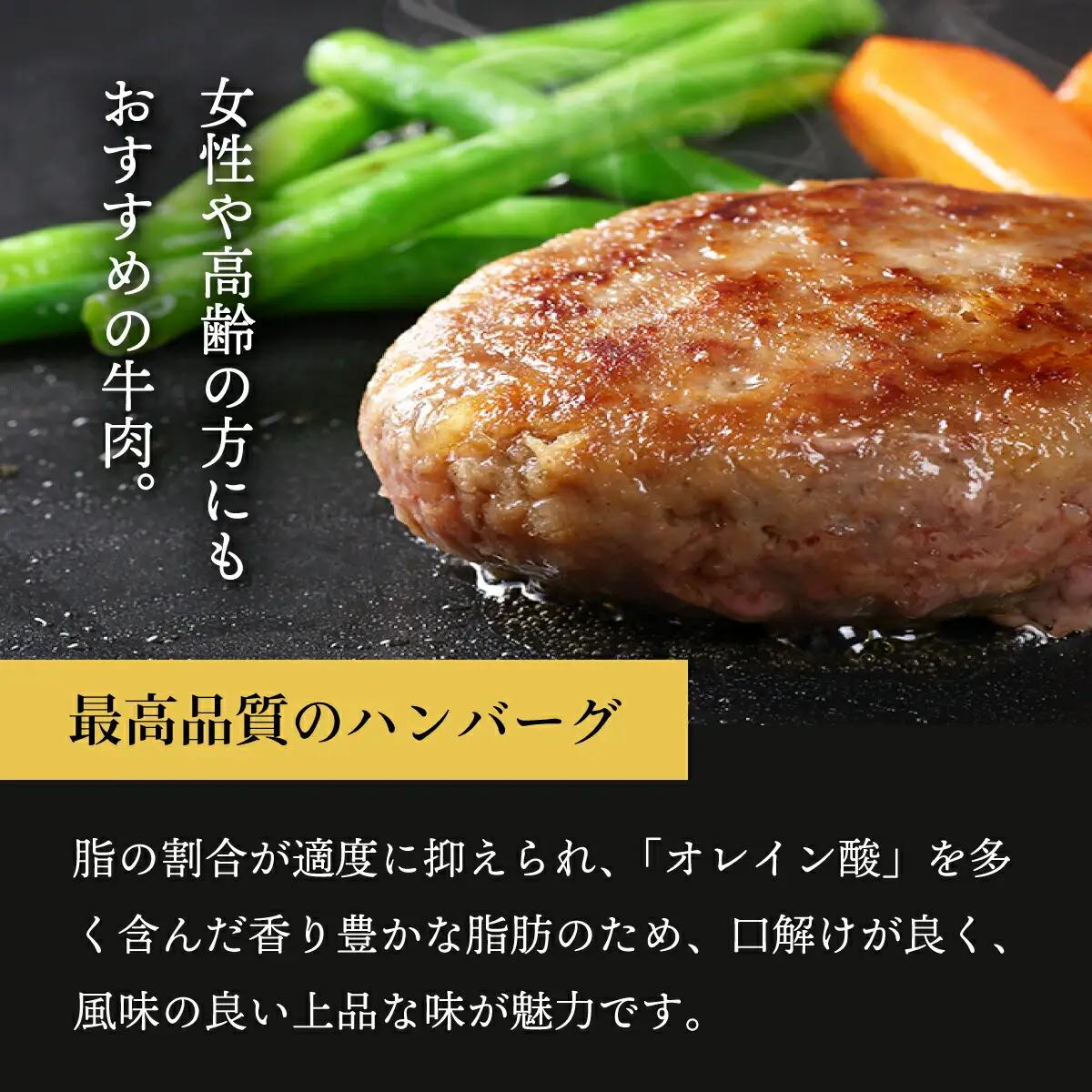 肉のあさひ 登別牛100％使用ハンバーグ 120g×5個[全3回お届け]