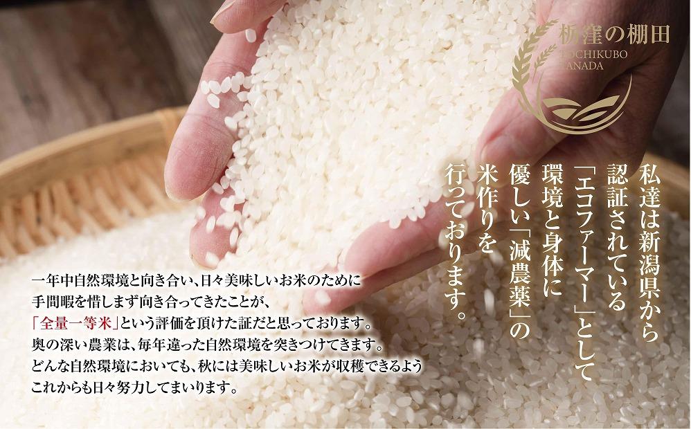 【栃窪の棚田米限定】南魚沼 しおざわ 栃窪産 コシヒカリ 5kg ｜玄米｜ 日熊の米 農家のこだわり 棚田 こしひかり 農家直送 減農薬 新潟県認証 エコファーマー ベストファーマー 新潟県 南魚沼市