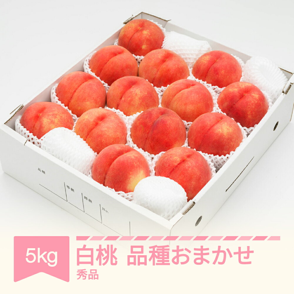 【ふるさと納税】【先行予約】 もも 白桃 秀品 品種おまかせ 化粧箱入り 約5kg 令和8年産 2026年産 山形県産 果物 送料無料 ns-mohtx5※沖縄・離島への配送不可