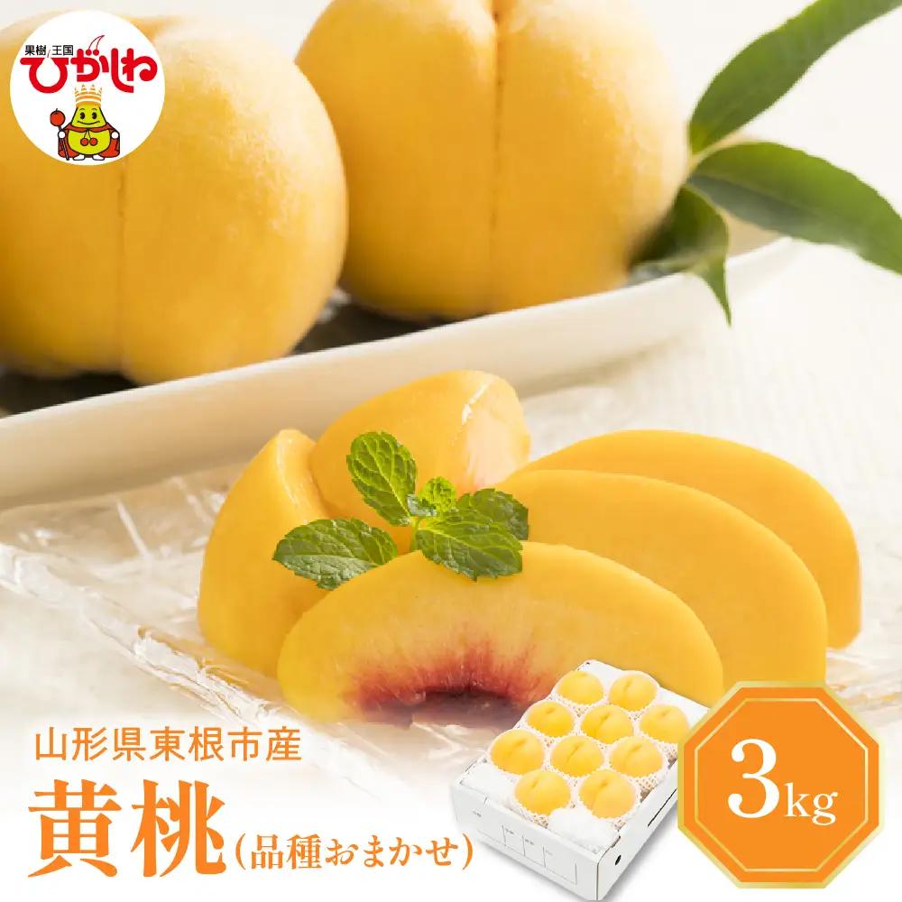 【2026年産先行予約】黄桃(品種おまかせ)3kg 秀品 桃 黄桃