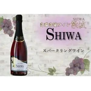 スパークリングワイン ロゼワイン 2本セット AL064-1