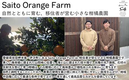【先行予約】Saito Orange Farmの南柑20号5kg（2026年12月下旬頃より順次発送予定） IKTAQ018