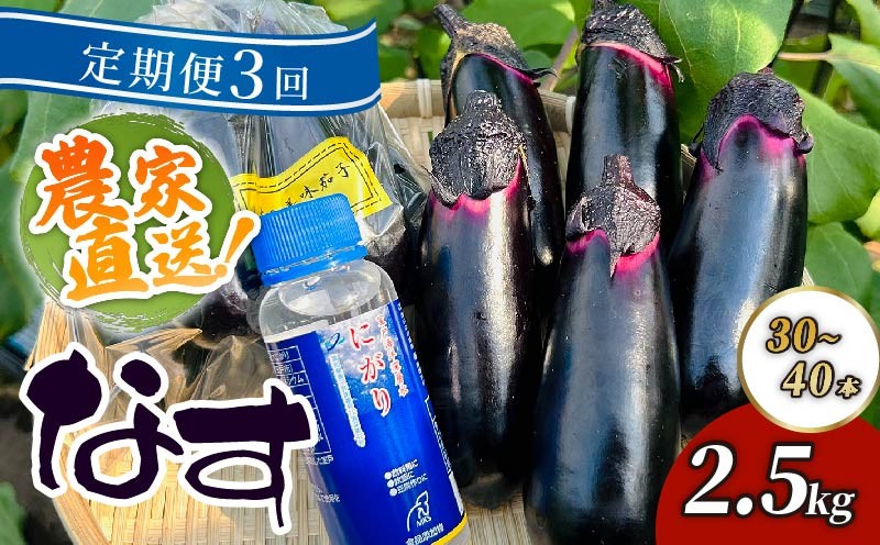 
            【定期便3回発送】農家直送　土佐の美味茄子の新鮮ナス　２．５kg　（室戸海洋深層水にがり使用） 野菜 なす ナス 常温 小袋 国産 夏野菜 茄子 小分け 旬 25500円 高知 頒布会
          