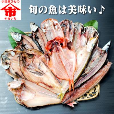 ふるさと納税 小田原市 おまかせ干物セット