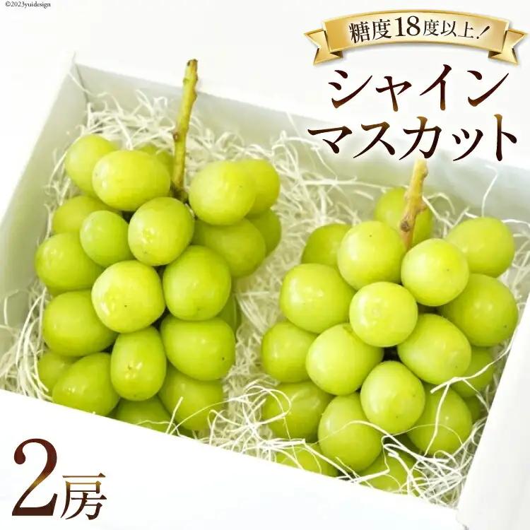 【2026年発送】ぶどう  シャインマスカット 予約 約 500g 2房  計約 1kg [Inakakara 山梨県 韮崎市 20745256]