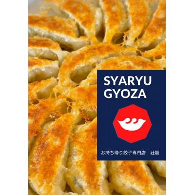ふるさと納税 田原市 田原ぎょうざ　75個