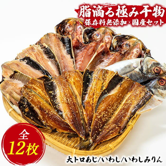 【ふるさと納税】 トロ あじ いわし 干物 ひもの みりん干し 保存料無添加 伊豆 静岡 御中元 御歳暮 海産屋の「脂滴る極み干物セット」