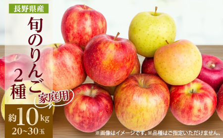 【2025年発送】家庭用　長野県北信州のりんご　約10kg(20～30玉)おまかせ2品種【1575400】