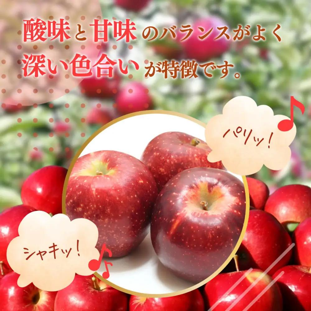 フルーツファーム中村農園　【10月上旬発送 先行予約】樹上熟成　秋映 3kg | りんご 秋映 りんご