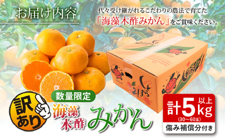 訳あり 数量限定 海藻木酢みかん 計5kg以上 傷み補償分付き フルーツ 果物 くだもの 柑橘 みかん　国産 期間限定 食品 家庭用 自宅用 B品 わけあり オレンジ デザート おやつ おすすめ おす