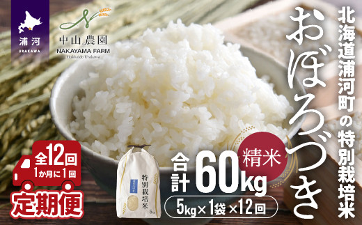 
                  北海道浦河町の特別栽培米「おぼろづき」精米(5kg×1袋)定期便(全12回)[37-1227]
                