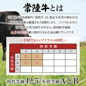 【数量限定】常陸牛ふわっトロハンバーグ（デミグラスソース付）150g×6枚入（MJ-4）