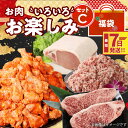 【ふるさと納税】【レビューキャンペーン対象】福袋 木城町 お肉いろいろお楽しみセットC - 総重量4.6kg 訳ありスパイシーチキン/豚ロースブロック/豚ミンチ/宮崎牛特上ロースステーキ わけあり 国産 鶏肉 豚肉 牛肉 ブロック肉 スピード配送便 送料無料【宮崎県木城町】