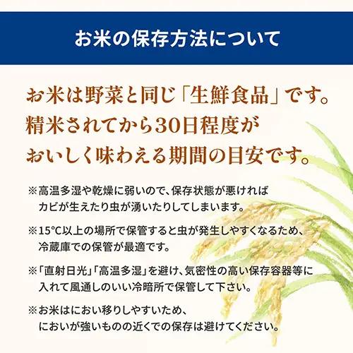 新米 とねさかい10kg ブレンド米 令和8年産 米 K2632